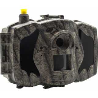Fotopasca ScoutGuard MG984G-36M + 32GB SD karta, 8ks líthiových batérií, AKU 6V/7Ah vrátane napájacieho kábla ZDARMA!