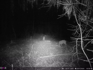 Fotopasca OXE PANTHER 4G a solárny panel