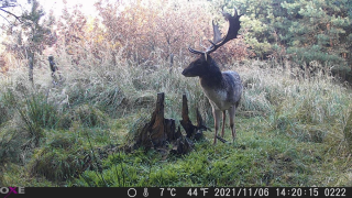 Fotopasca OXE GEPARD II a lovecký detektor + ZDARMA 32GB SD karta a 6ks batérií.