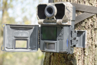 Fotopasca FOXcam 4G LTE, 32GB SD karta + 12ks batérií ZDARMA